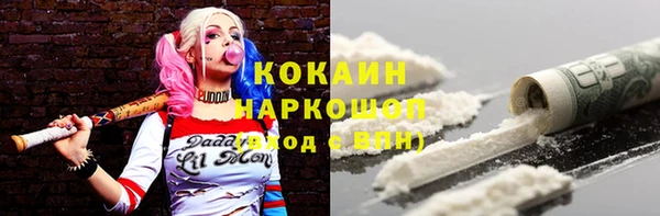 хмурый Алзамай