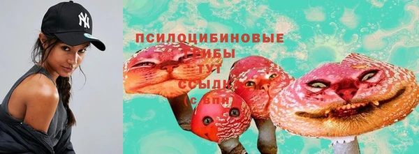 хмурый Алзамай