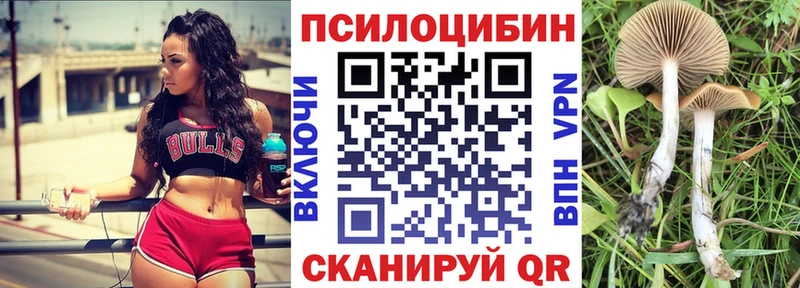 Галлюциногенные грибы ЛСД  hydra зеркало  Новошахтинск  даркнет сайт 