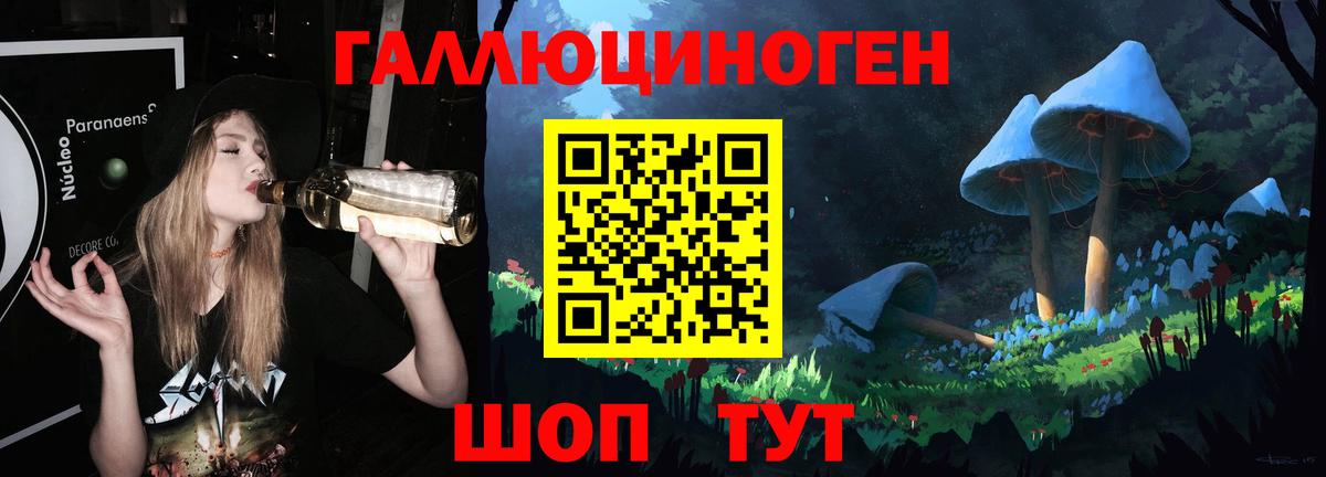 Новошахтинск  Галлюциногенные грибы GOLDEN TEACHER  Вход с VPN  Псилоцибиновые грибы мицелий 